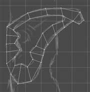Creating the ear's remaining polygons